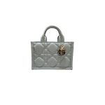 Mini Dior Book Tote
