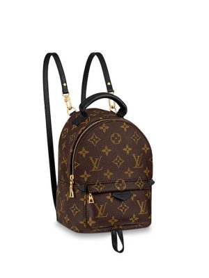 LV Palm Springs Mini Backpack