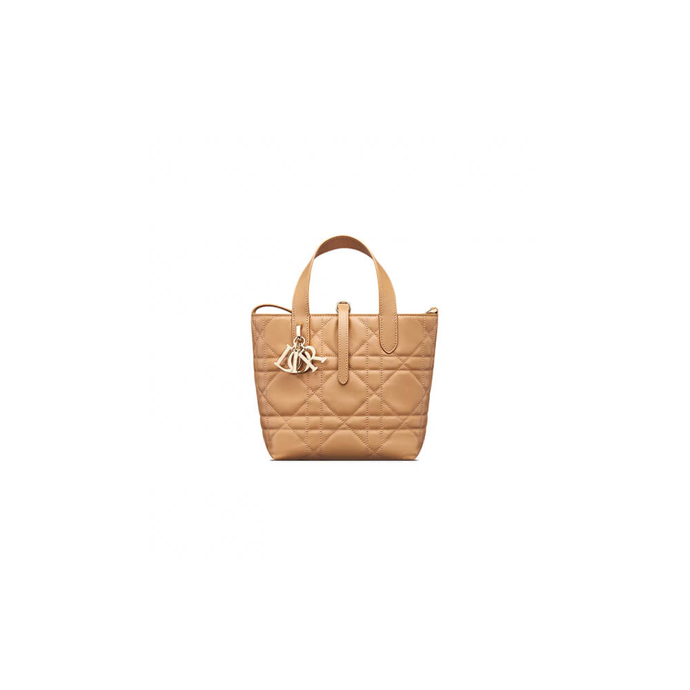 Leather Small Dior Toujours Vertical Tote Bag