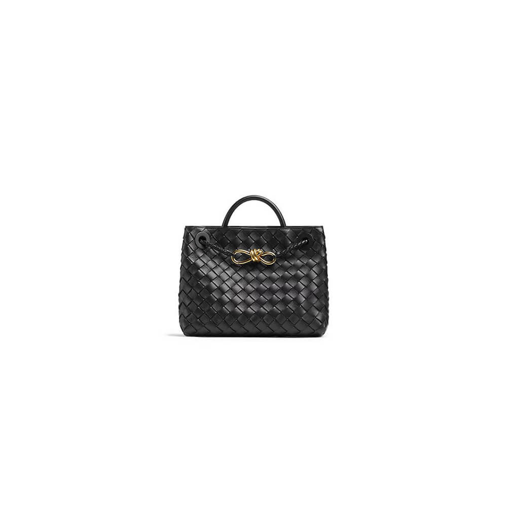 Bottega Veneta Small Andiamo