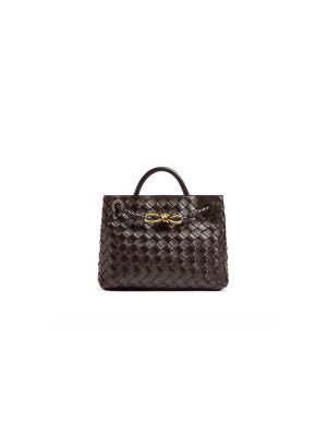 Bottega Veneta Small Andiamo