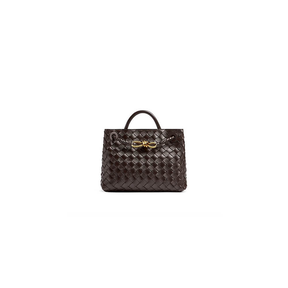Bottega Veneta Small Andiamo