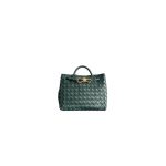 Dark Green Bottega Veneta Small Andiamo