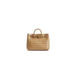 Dark Praline Bottega Veneta Small Andiamo
