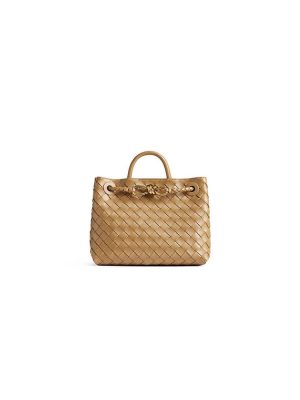 Dark Praline Bottega Veneta Small Andiamo