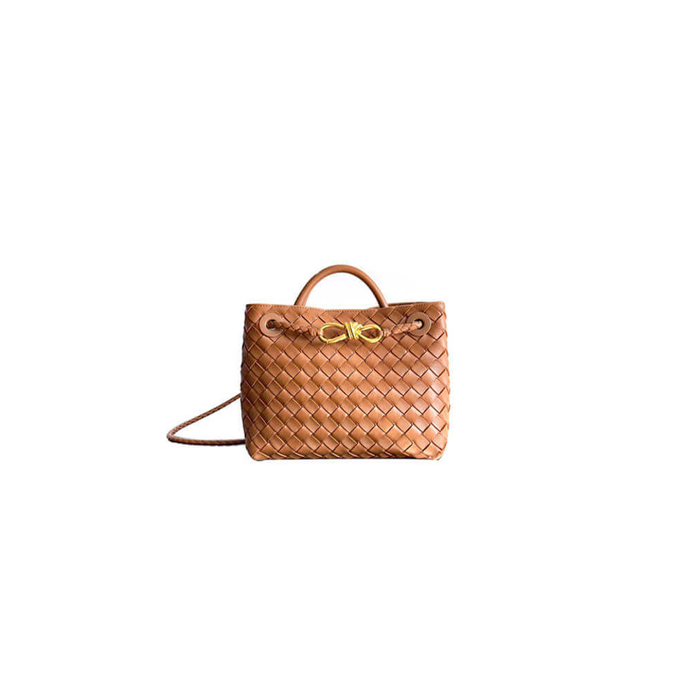 Brown Bottega Veneta Small Andiamo