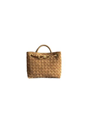 Brown Bottega Veneta Small Andiamo