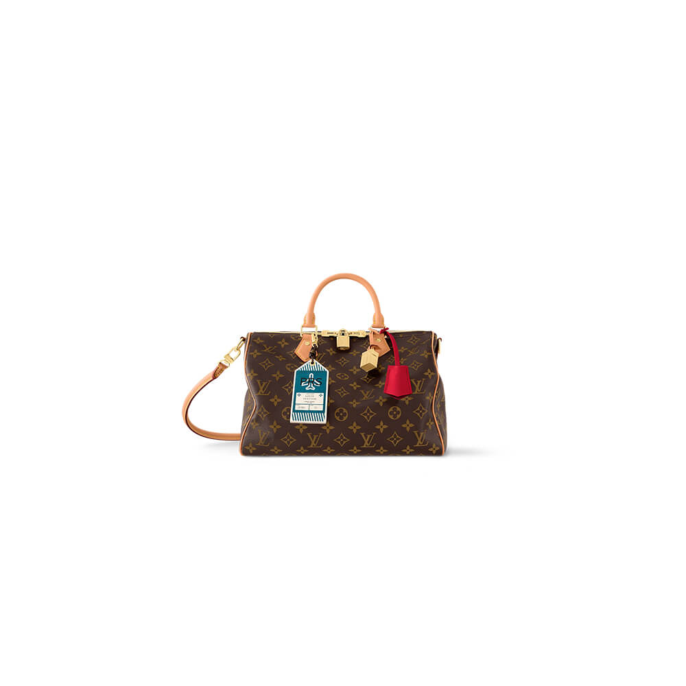 LV Speedy Soft 30 Crafty