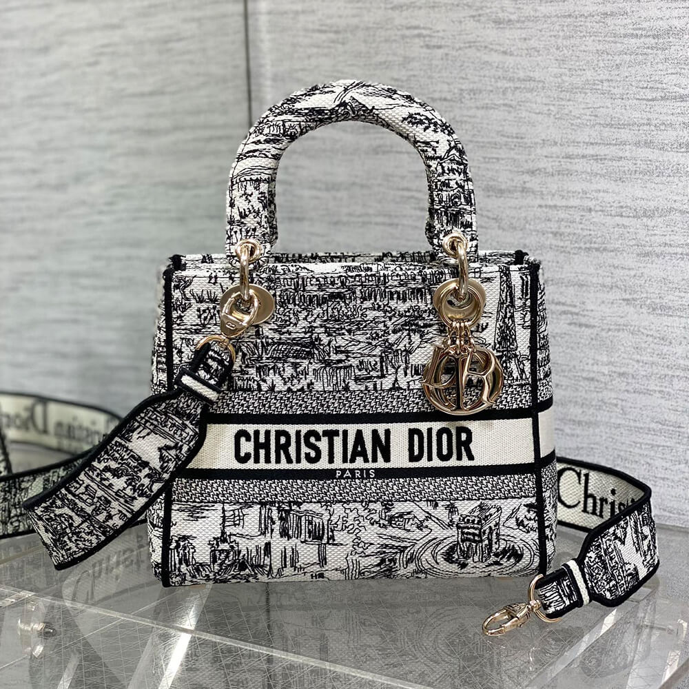 Dior Medium Lady D-Lite Bag - Image 2