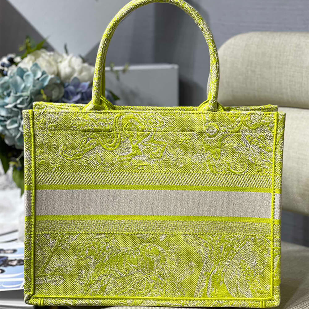 SMALL DIOR BOOK TOTE - Image 4