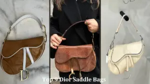 Top 9 Dior Saddle Bags to Buy in 2025 at LXYBags