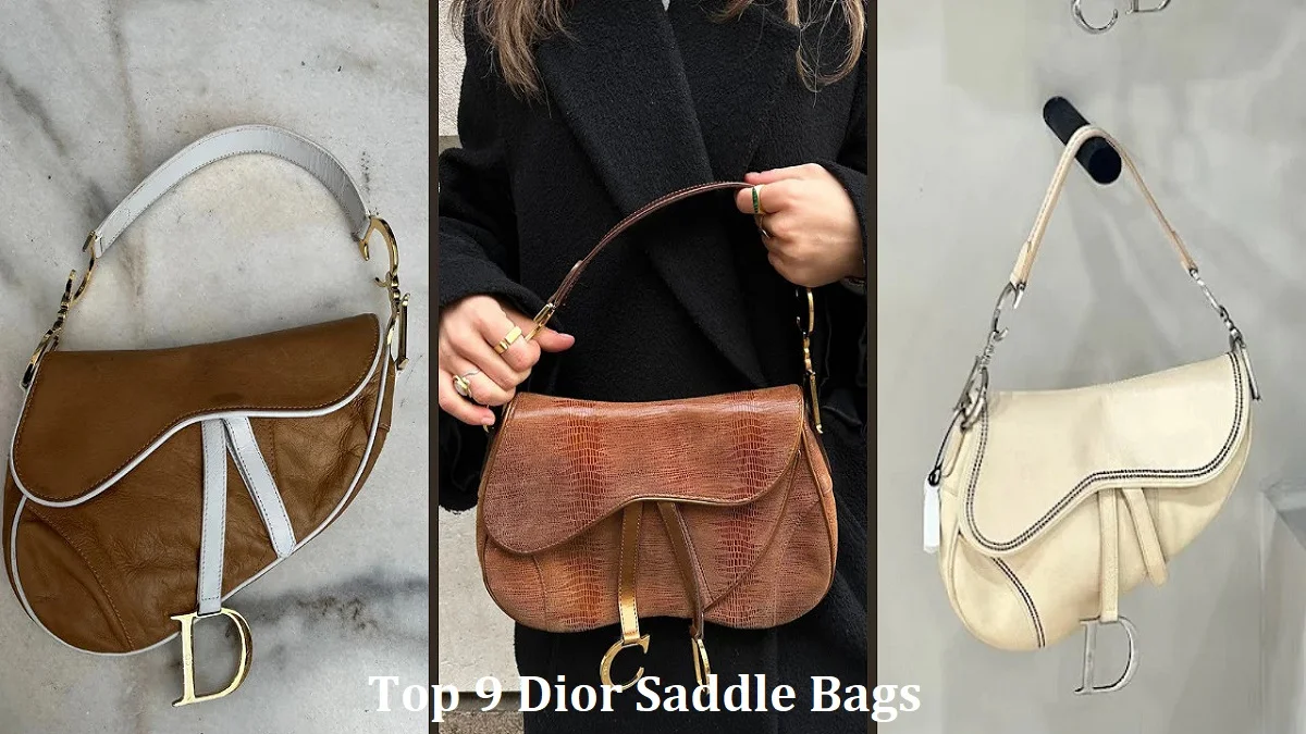 Top 9 Dior Saddle Bags to Buy in 2025 at LXYBags